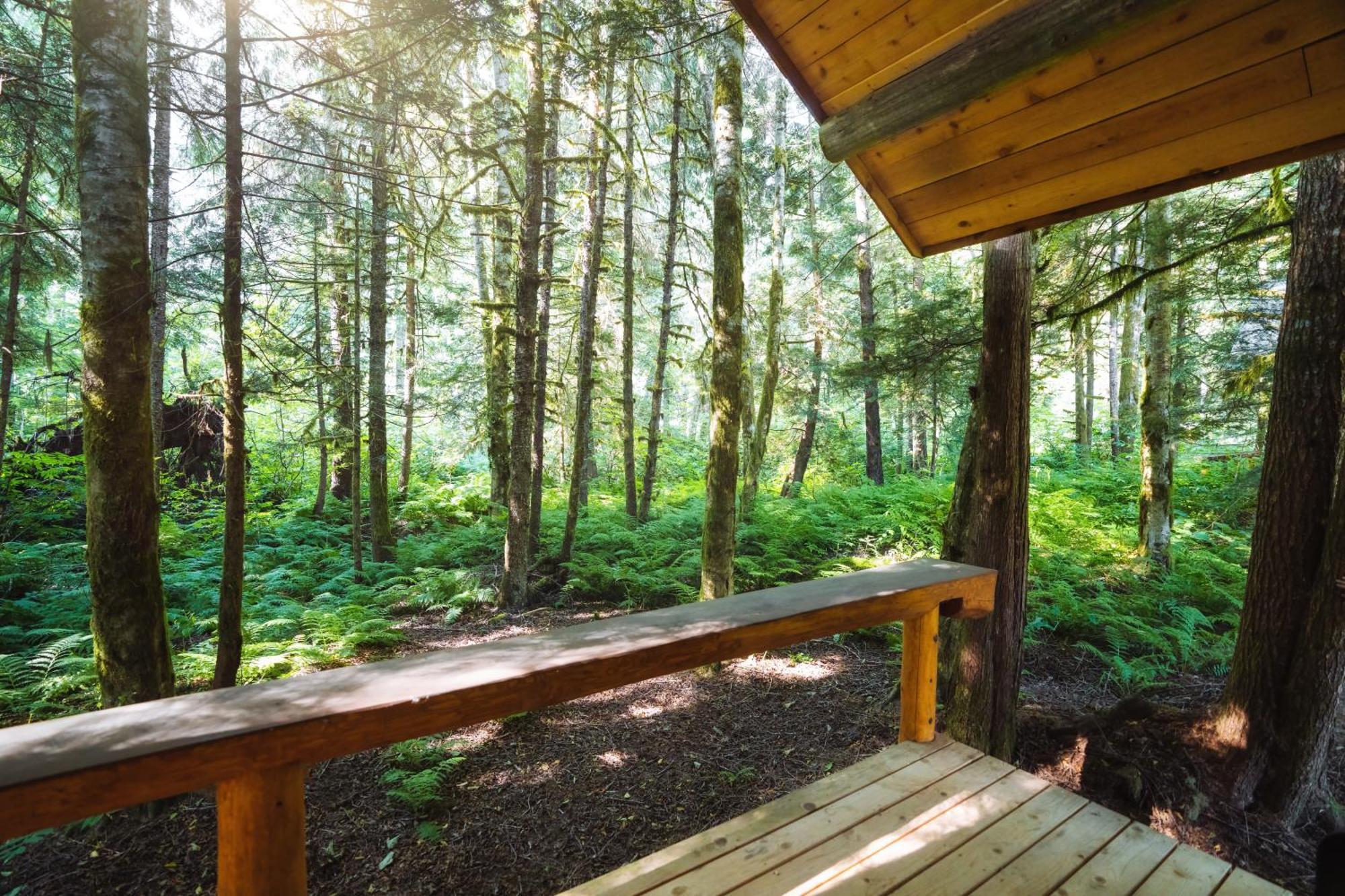 Bella Coola Grizzly Tours And Resort Hagensborg 外观 照片