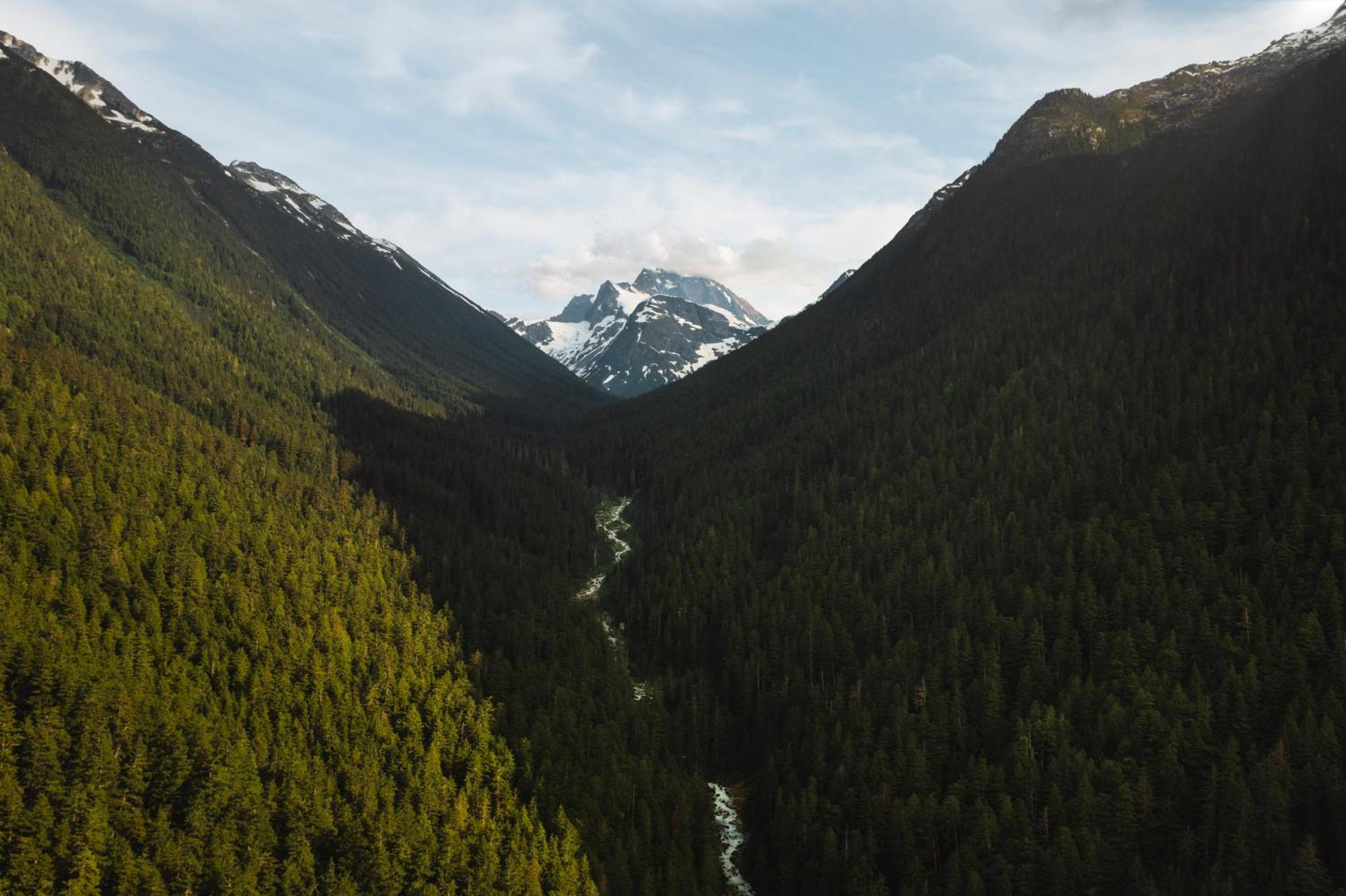 Bella Coola Grizzly Tours And Resort Hagensborg 外观 照片