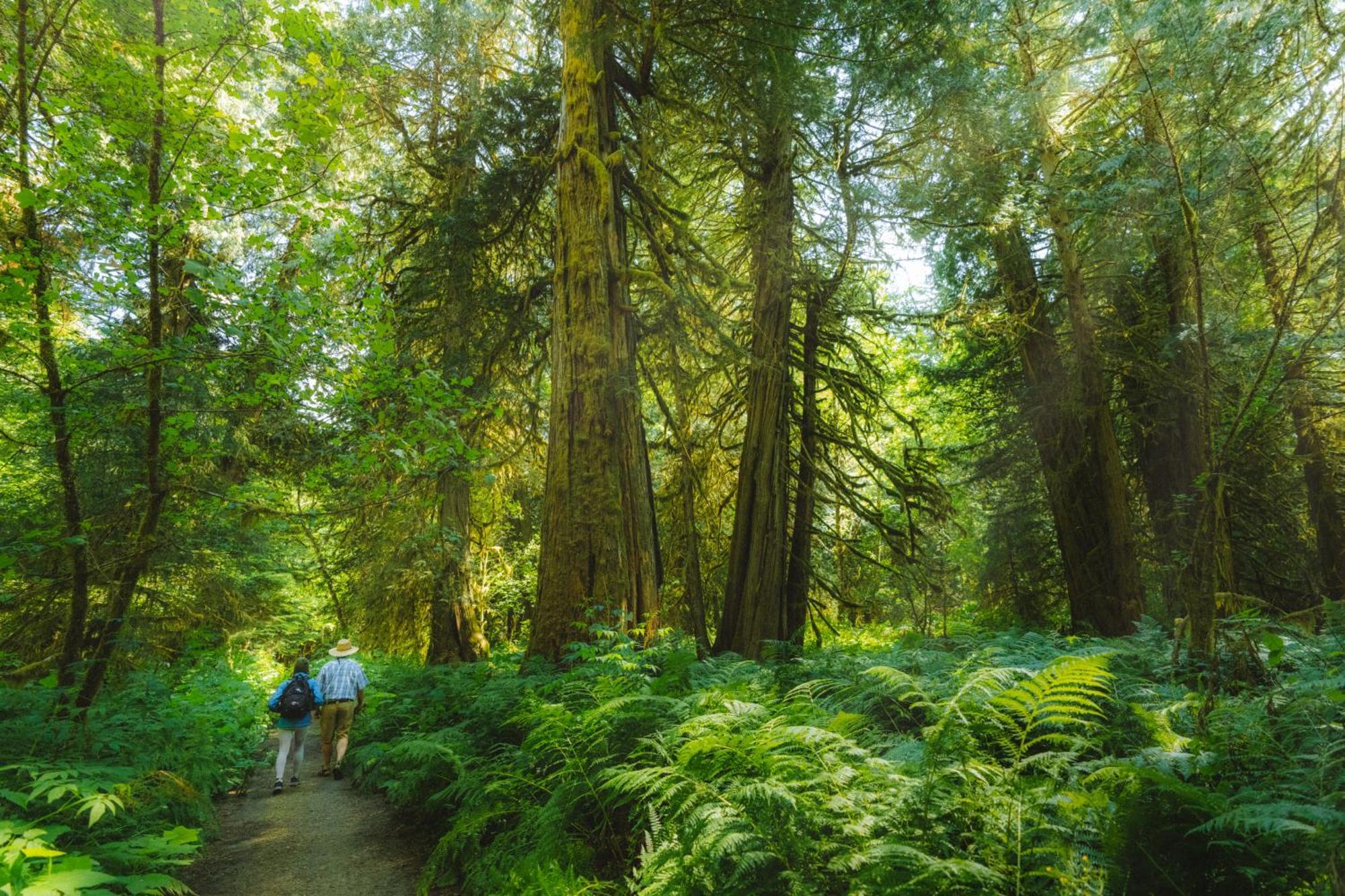 Bella Coola Grizzly Tours And Resort Hagensborg 外观 照片