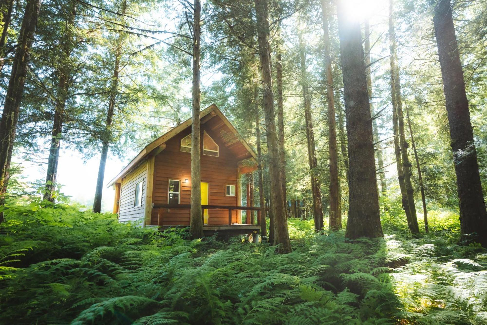 Bella Coola Grizzly Tours And Resort Hagensborg 外观 照片